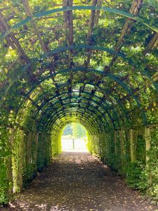 Wein Torbogen im Schlossgarten Lindstedt – Potsdam